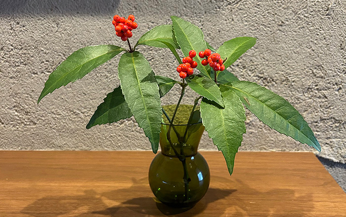 千両のシンプルな飾り